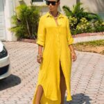 Xleek Boutique Shirt Dress 04